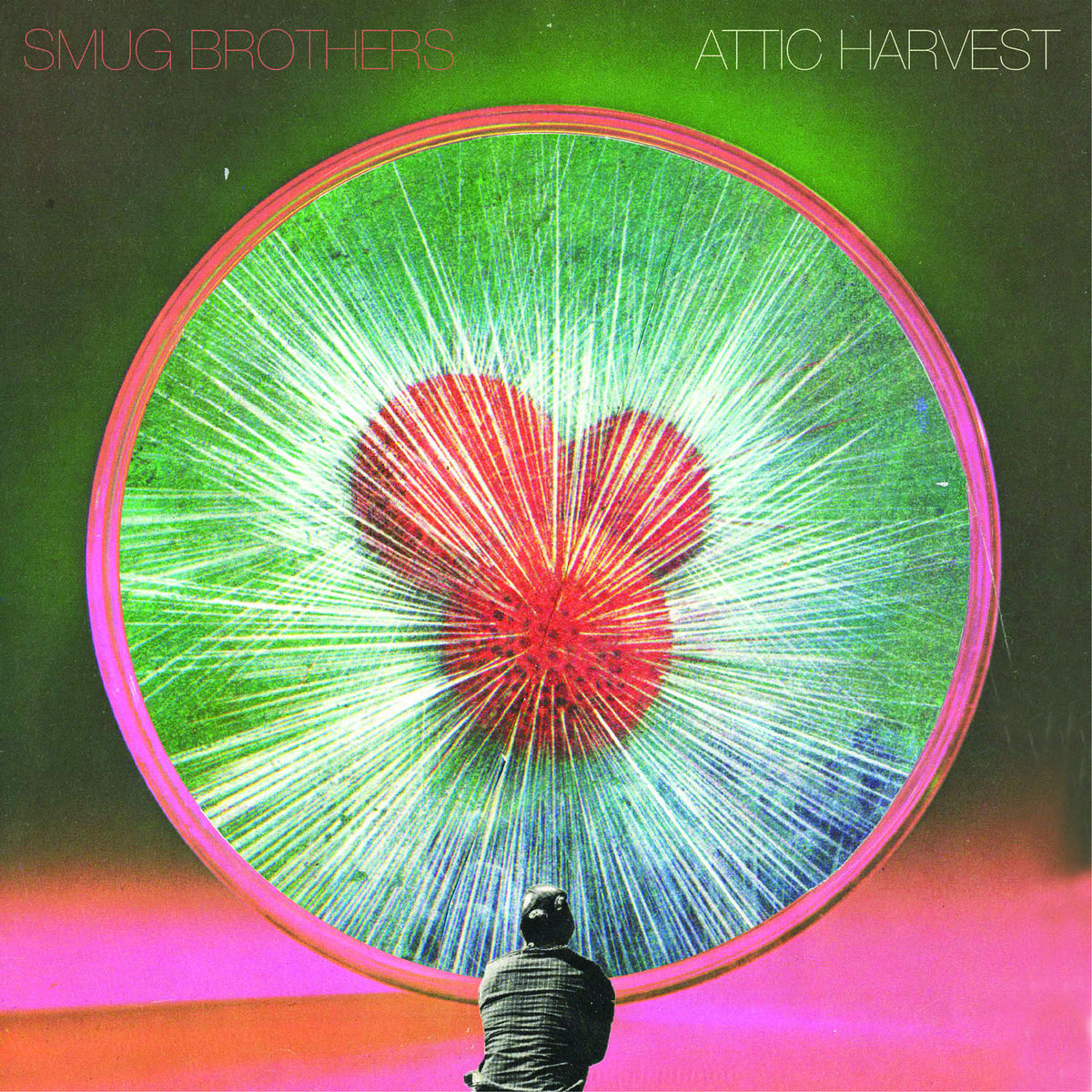 Smug Brothers - Attic Harvest