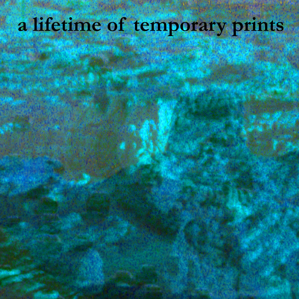 A Lifetime of Temporary Prints