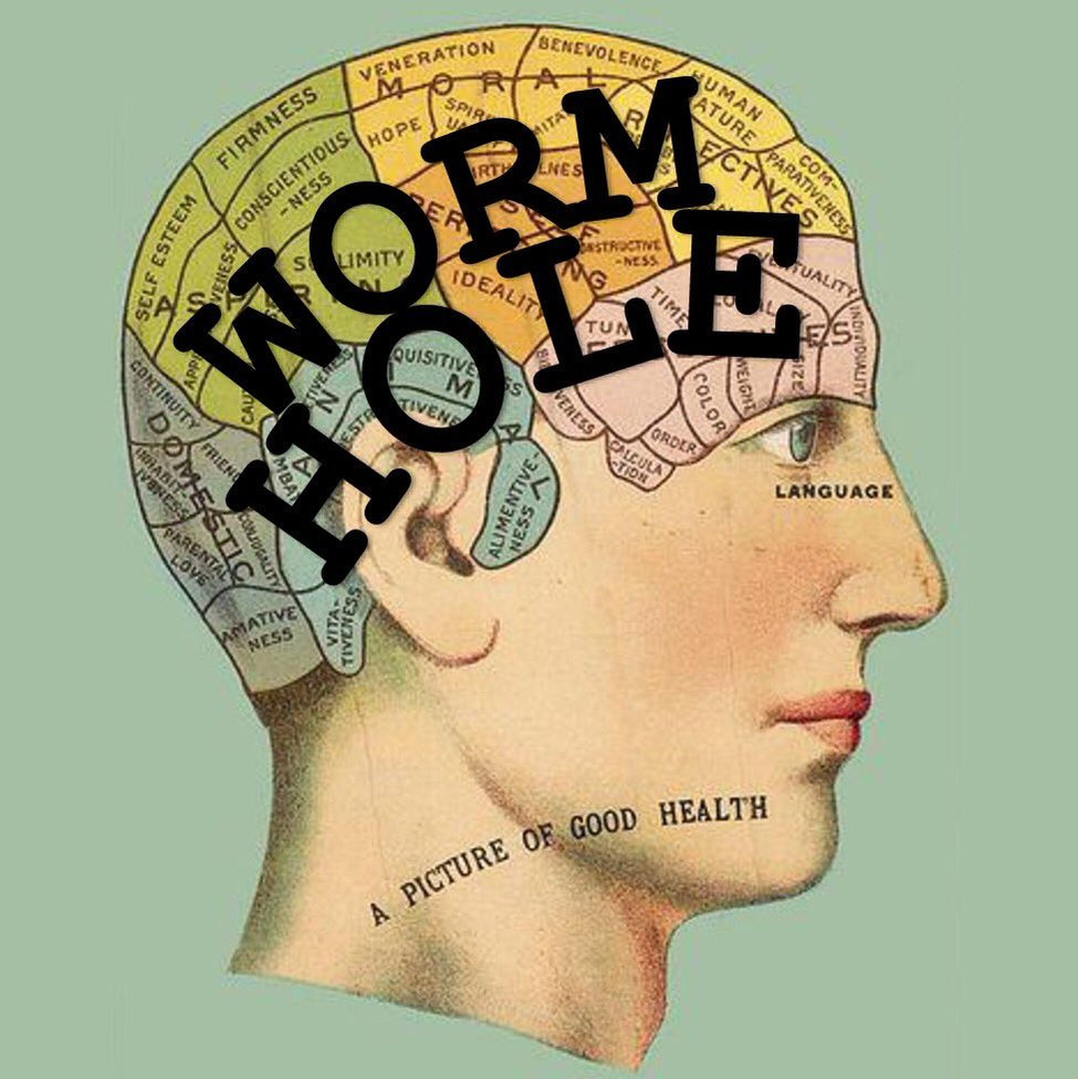 Wormhole World - Label Logo